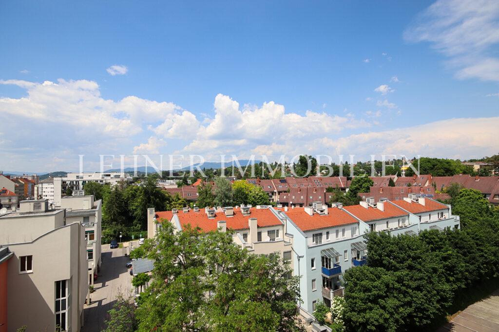 Lehner Immobilien Luxuswohnung Penthouse in Graz