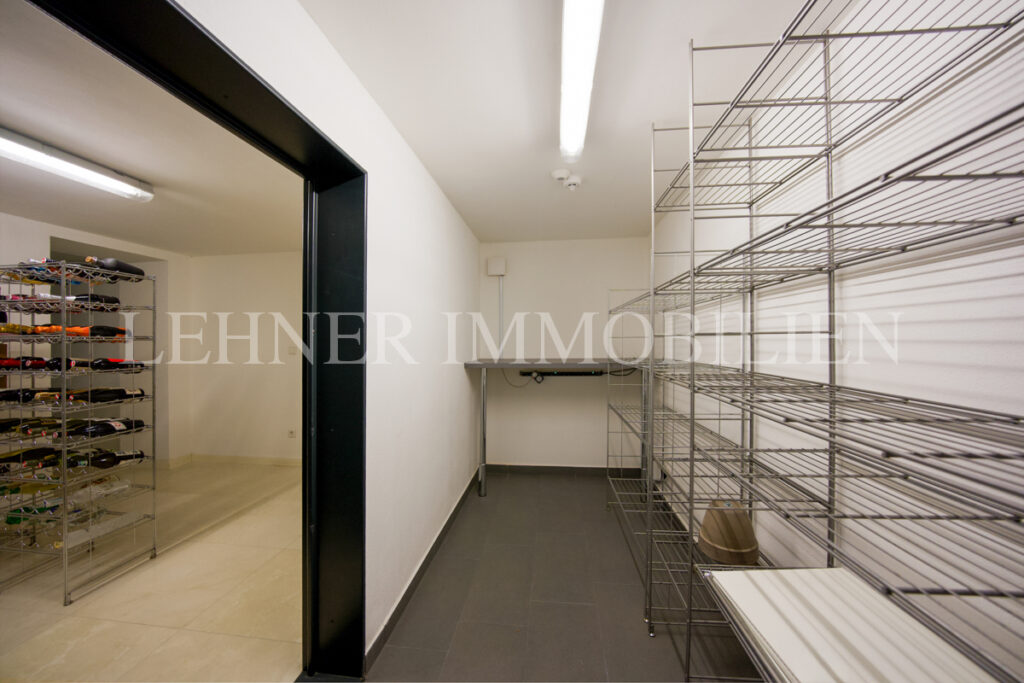 Lehner Immobilien luxuriöse Villa am Künigelberg, in bester Hietzinger Lage, Wien