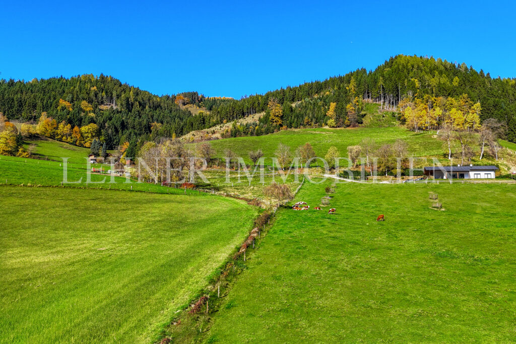 Bruck an der Mur, luxuriöse Toskana-Villa in Traumlage – Feng Shui Haus mit Strahlenschutz