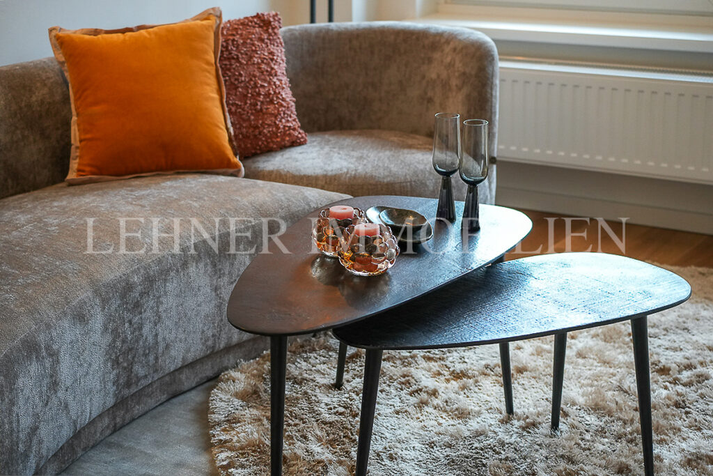 Lehner Immobilien, Sanierte moderne Wohnung an der Murpromenade in Graz-Geidorf