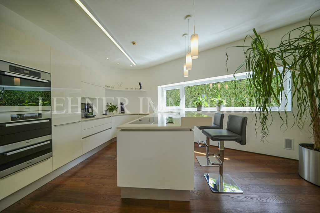 Lehner Immobilien exklusive Architektur Villa mit traumhafter Aussicht in Lieboch