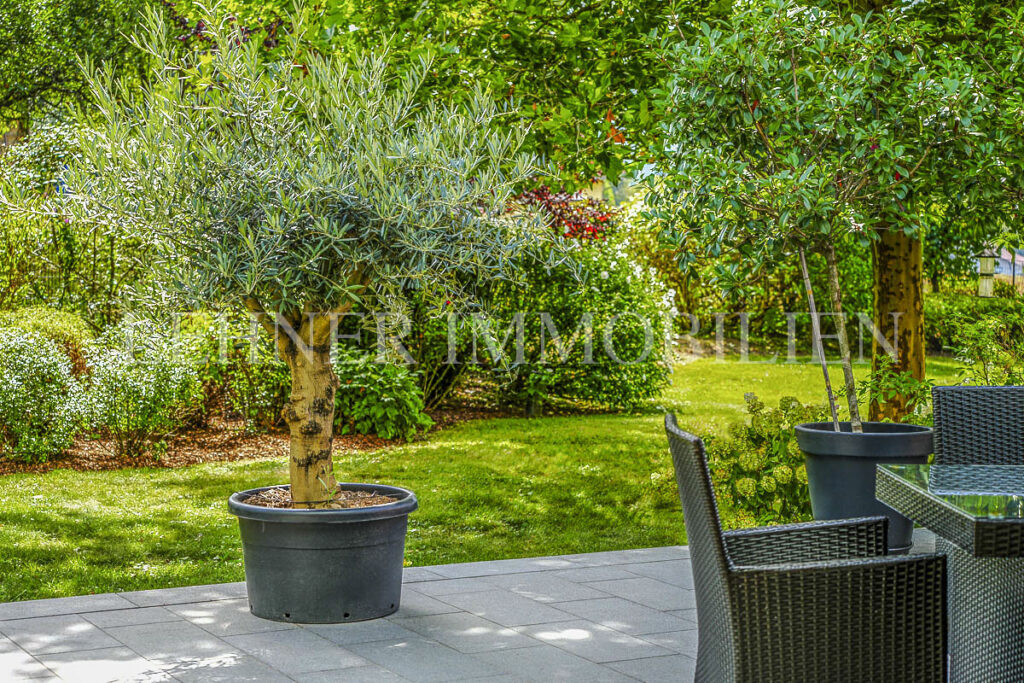 Lehner Immobilien exklusive Architektur Villa mit traumhafter Aussicht in Lieboch