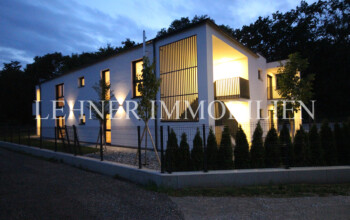 Lehner Immobilien Penthouse Wohnung Graz