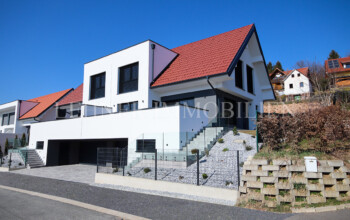 Lehner Immobilien Doppelhaushälfte Lang/Göttling