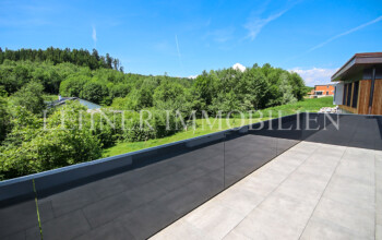 Lehner Immobilien Doppelhaushälfte Mantscha