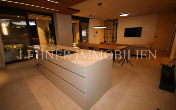 Lehner Immobilien Luxus Penthouse Graz Straßgang