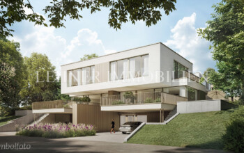 Lehner Immobilien Doppelhaushälfte Mantscha